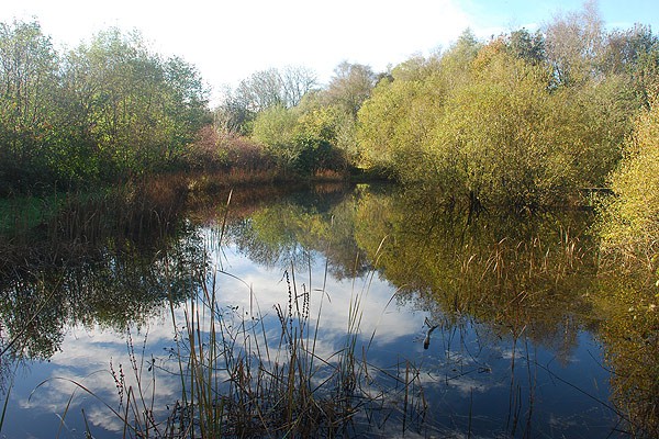 The Lake (in Winter)